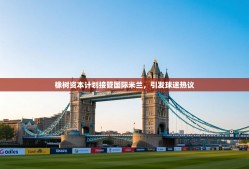 乐动体育娱乐-橡树资本计划接管国际米兰，引发球迷热议