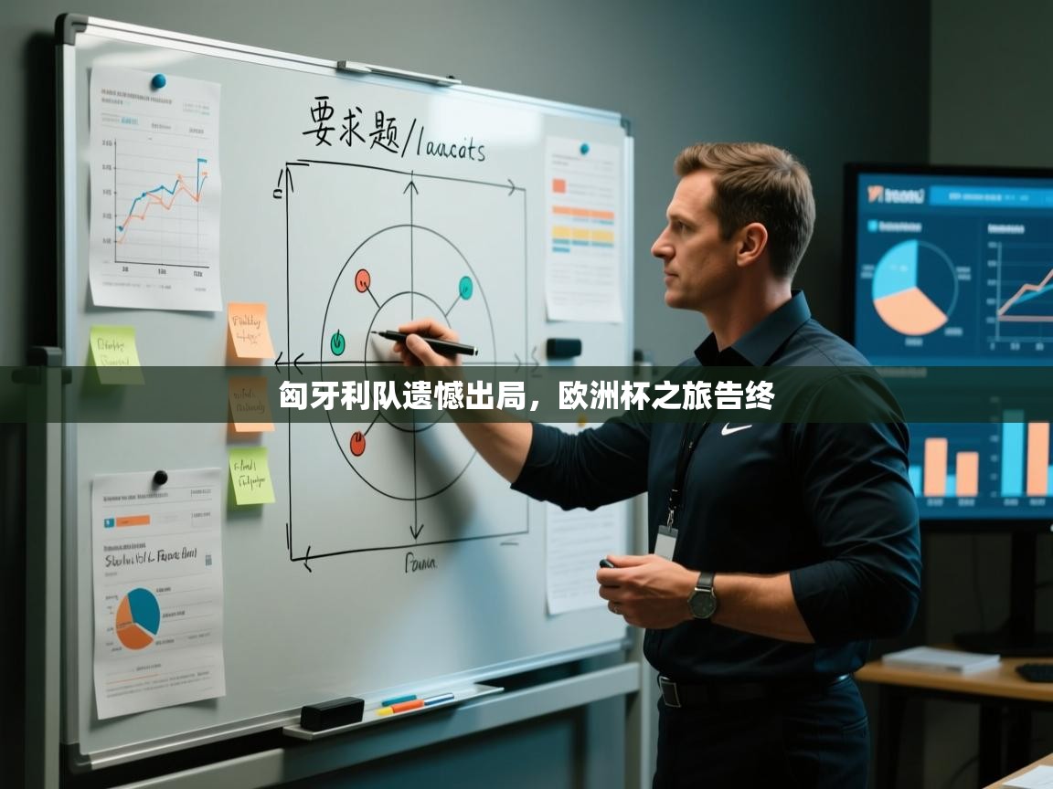 -匈牙利队遗憾出局，欧洲杯之旅告终  第3张