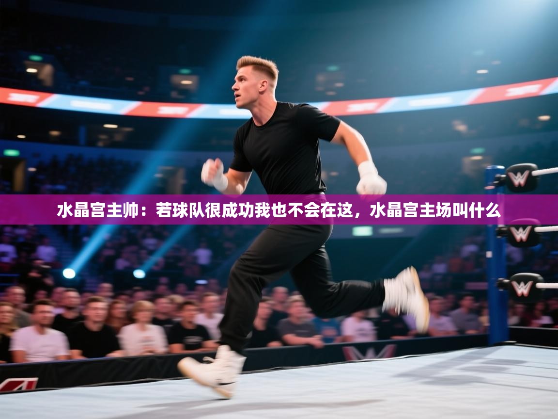 乐动体育-水晶宫主帅:若球队很成功我也不会在这,水晶宫主场叫什么 第1张