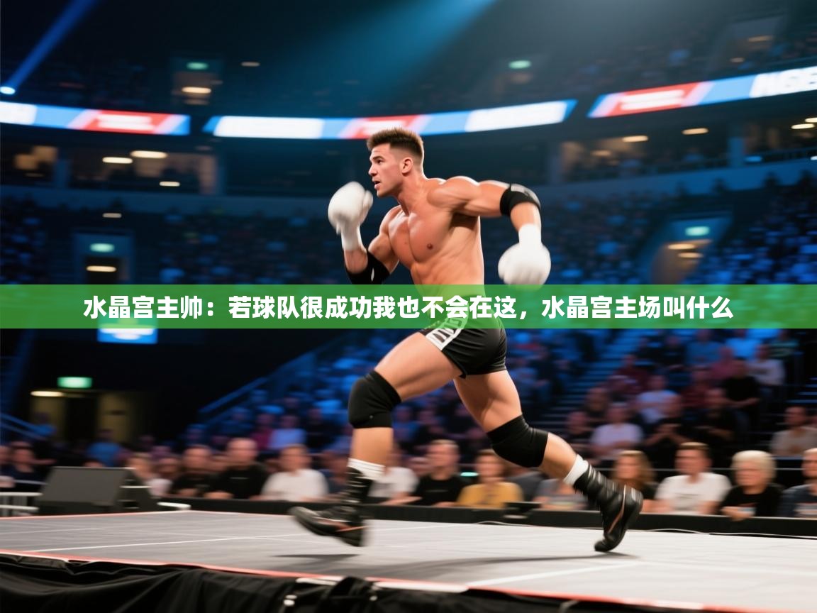 乐动体育-水晶宫主帅:若球队很成功我也不会在这,水晶宫主场叫什么 第2张