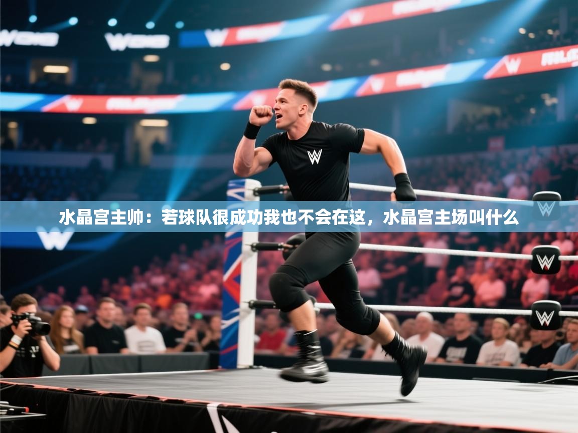 乐动体育-水晶宫主帅:若球队很成功我也不会在这,水晶宫主场叫什么 第4张