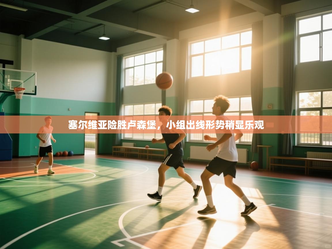 乐球体育在线观看-塞尔维亚险胜卢森堡，小组出线形势稍显乐观  第1张