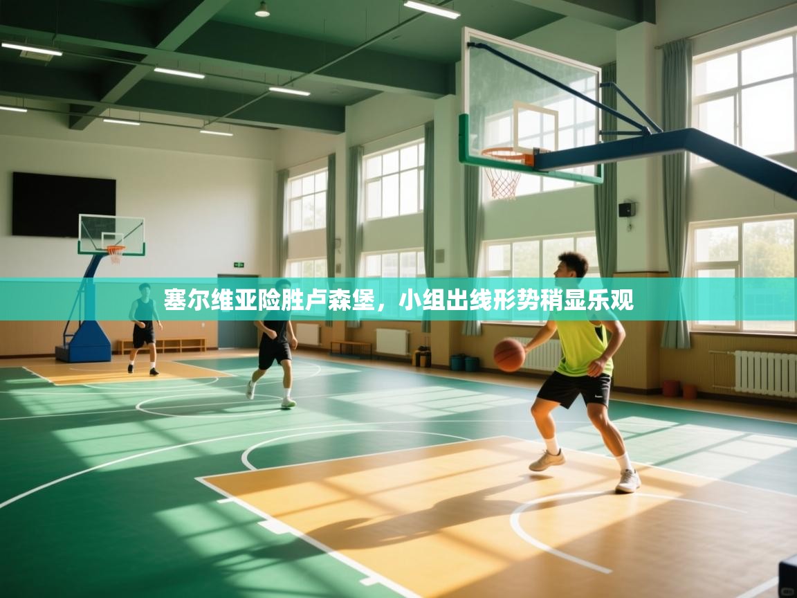 乐球体育在线观看-塞尔维亚险胜卢森堡，小组出线形势稍显乐观  第2张