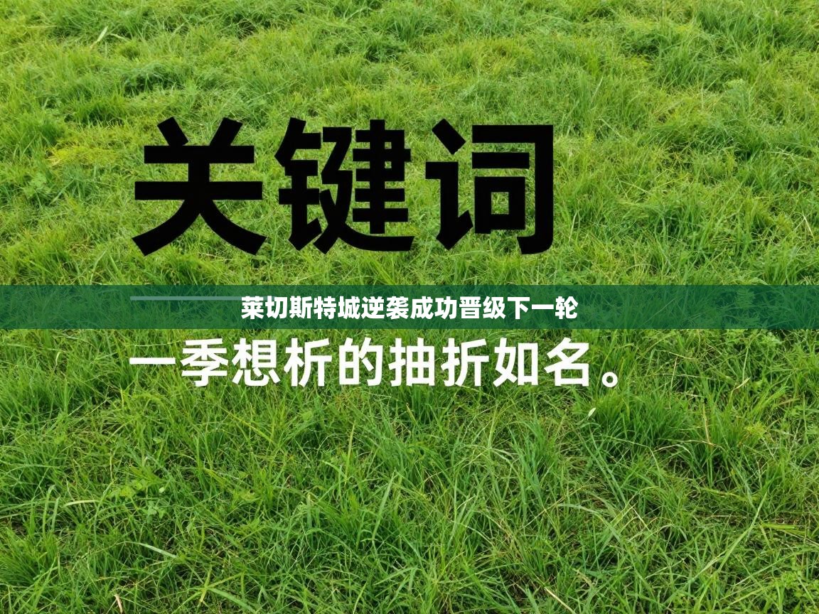乐动体育入口-莱切斯特城逆袭成功晋级下一轮  第1张