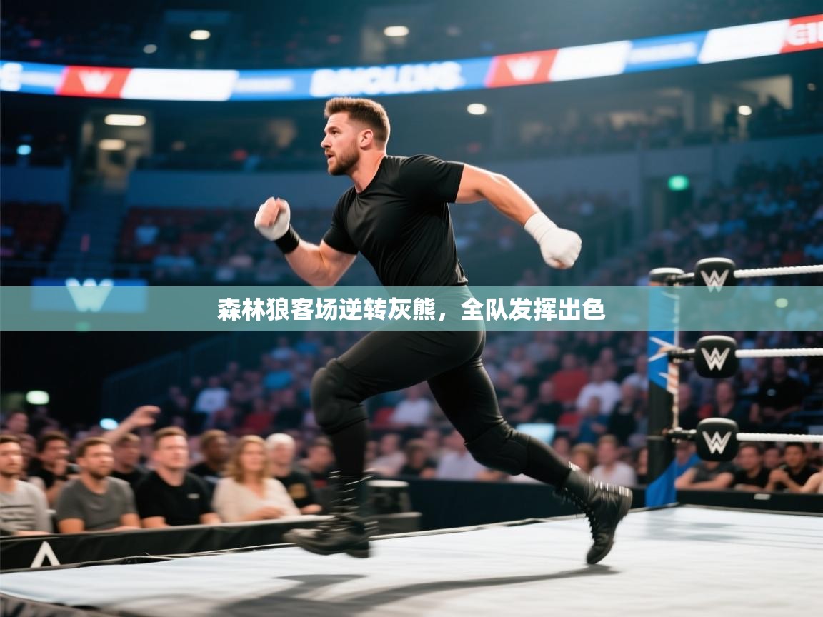 ld乐动体育网页版登录-森林狼客场逆转灰熊，全队发挥出色  第2张