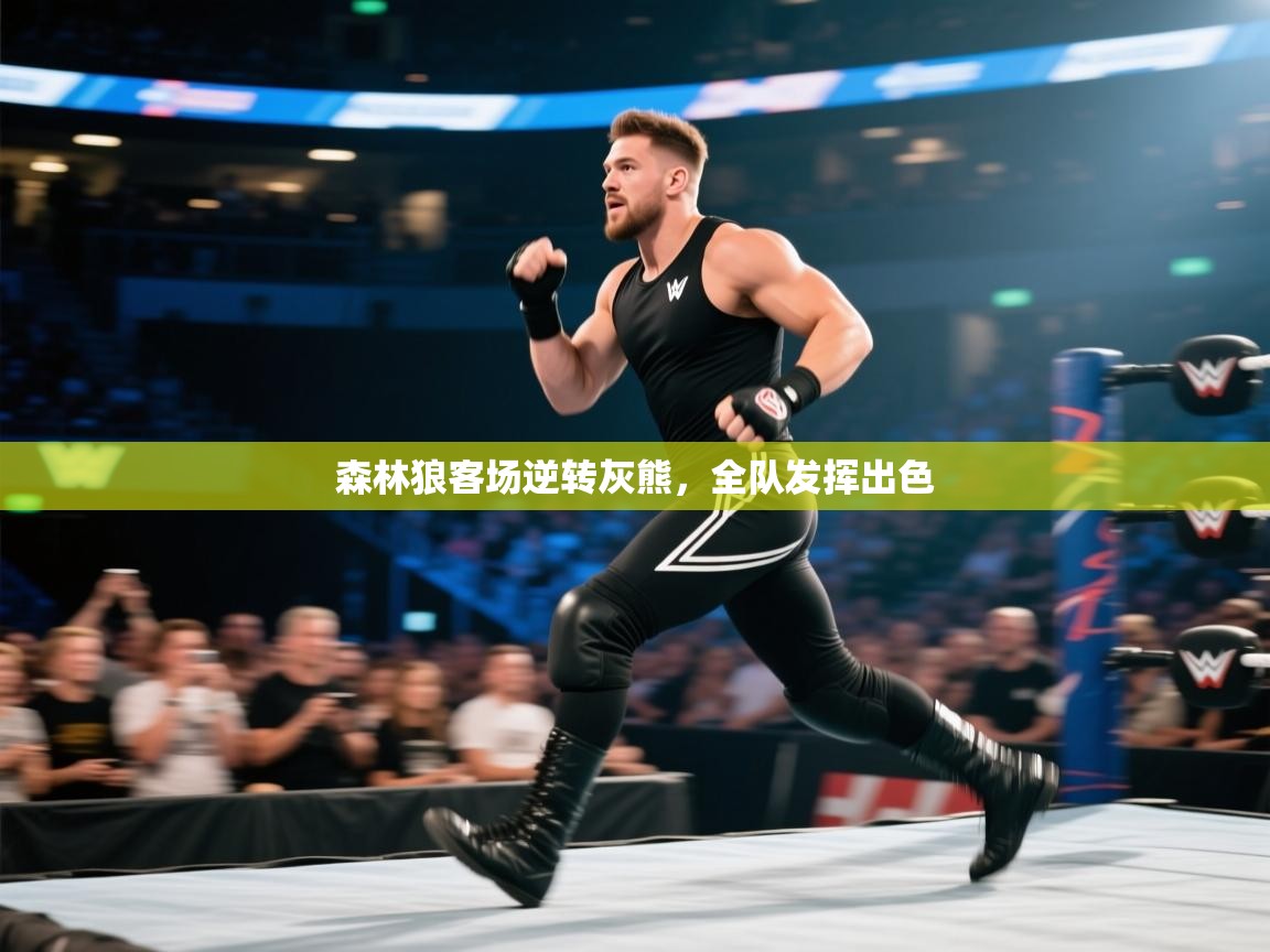 ld乐动体育网页版登录-森林狼客场逆转灰熊，全队发挥出色  第3张