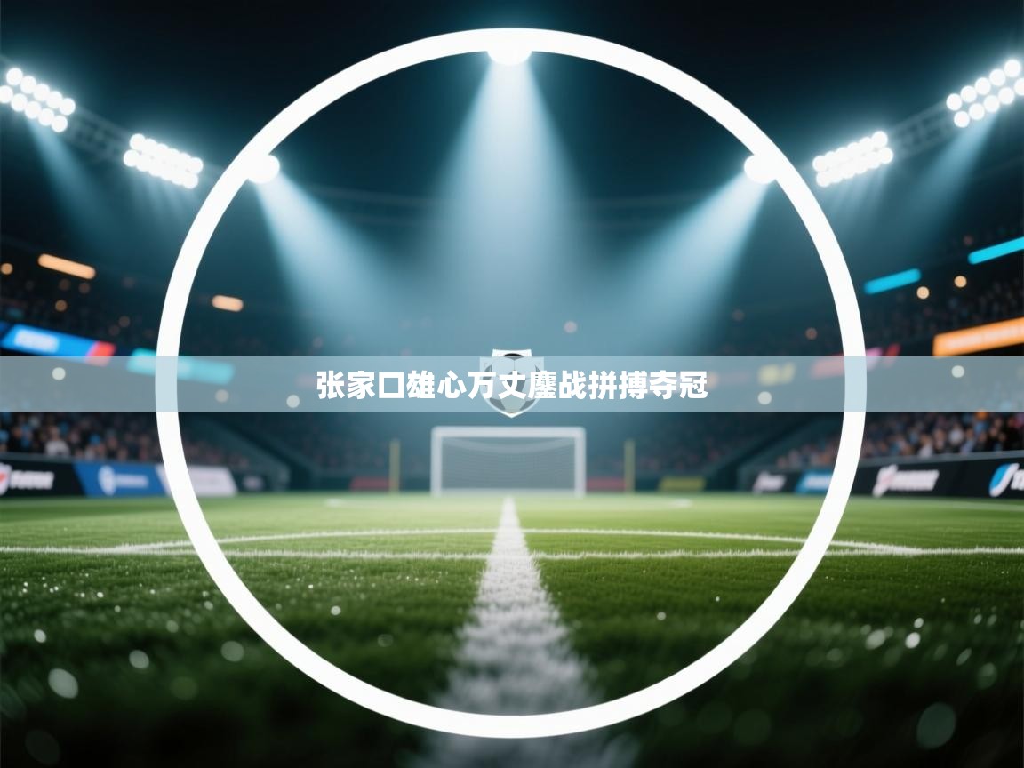 乐视体育在线直播观看-张家口雄心万丈鏖战拼搏夺冠  第3张