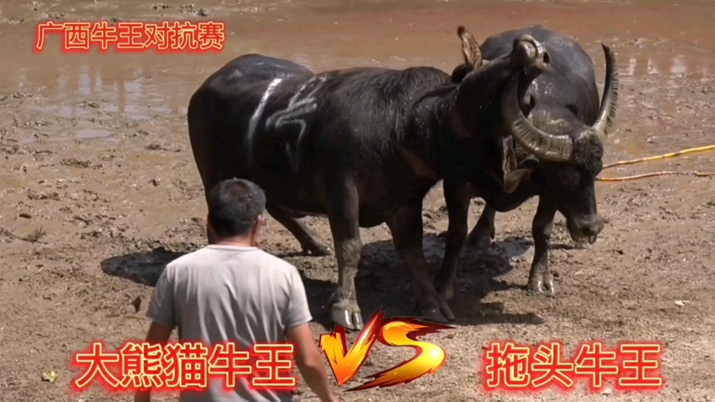 经典对决！两大劲旅的激烈对抗引发热议