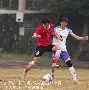 乐动体育网页版-波兰女足勇夺桂冠，喜悦登上巅峰